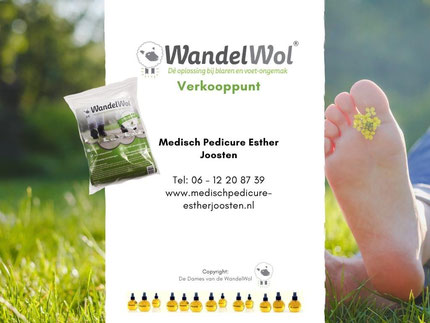 WandelWol